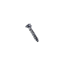 30622824 Park Assist Camera Screw (Lower)